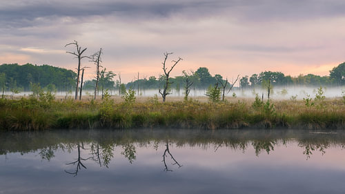A misty morning in the Appèlbergen nature reserve on the border between the provinces of Groningen and Drenthe.