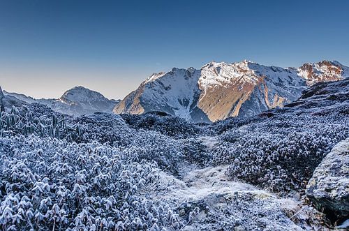Himalaya; ijskou in de bergen bij zonsopgang