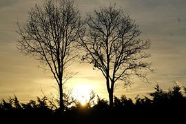 Here you want to wake up every day ? by As Janson