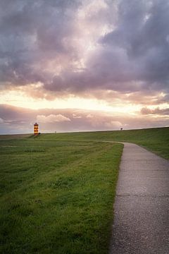 De weg naar de vuurtoren