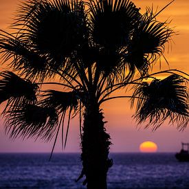 Palme bei Sonnenuntergang von Erik Jansen