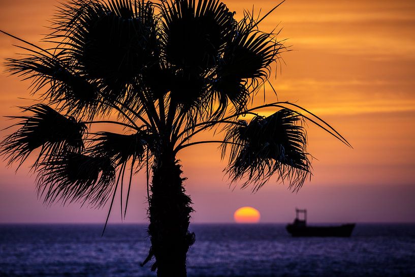 palmboom met zonsondergang van Erik Jansen