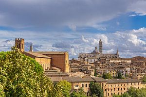 Blick über die Altstadt von Siena in Italien von Rico Ködder