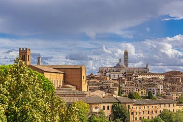 Uitzicht over de oude stad van Siena in Italië van Rico Ködder