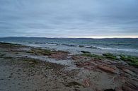 schöner Sonnenaufgang am Strand von Nairn. von Babetts Bildergalerie Miniaturansicht
