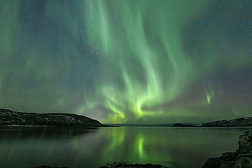 Noorderlicht op Kvaløya nabij Tromsø van Nathalie Daalder