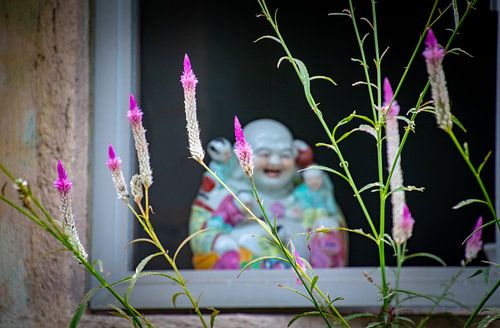 Buddha achter bloemen
