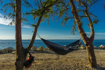 USA, Floride, Dormir et se détendre dans un hamac sous deux arbres sur adventure-photos