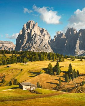 Seiser Alm en Sassolungo, Dolomieten van Stefano Orazzini