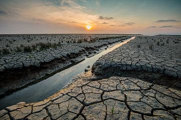 Schönes Wattenmeer von P Kuipers