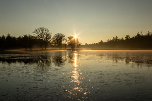Une journée ensoleillée et glacée dans le Hoge Veluwe