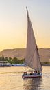 Felucca op de Nijl in Aswan (Egypte) van Jessica Lokker thumbnail