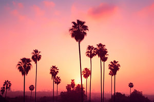 Lichter von Los Angeles