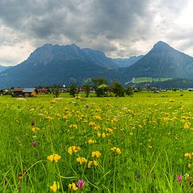 Loretto meadows near Oberstdorf, with Oberstdorf and the Allgäu Alps in the background by Walter G. Allgöwer