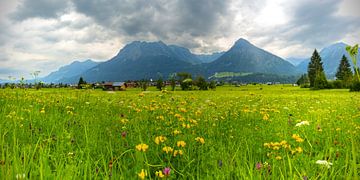 Lorettowiesen près d'Oberstdorf, derrière Oberstdorf et les Alpes d'Allgäu sur Walter G. Allgöwer