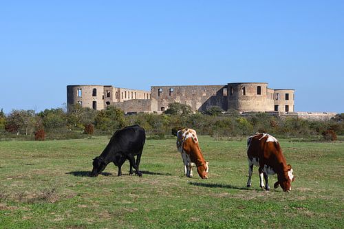 Château de Borgholm