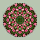 Rozen, bloemenmandala, natuur, bloemenmandala-stijl van   thumbnail