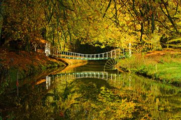 Herfst op Landgoed Elswout von Michel van Kooten