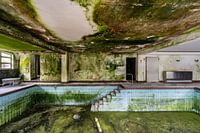 Piscine abandonnée