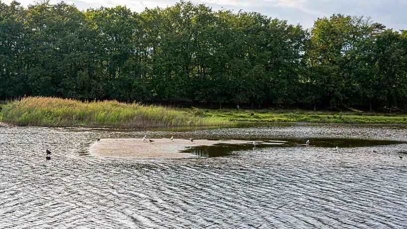 the Sandbank Crailo by Peter Veerman