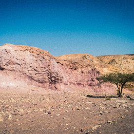 Woestijn in roze, Timna vallei, Israël van Stefan van Horssen