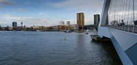 Skyline Rotterdam met Erasmusbrug