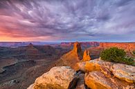 Sunrise at Marlboro Point, in Canyonlands NP, Utah by Henk Meijer Photography thumbnail