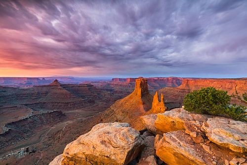 Zonsopkomst bij Marlboro Point, in Canyonlands NP, Utah