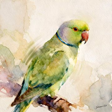 Prachtige vogels van de wereld - Ringhalsparkiet1 van Johannas Art Creations