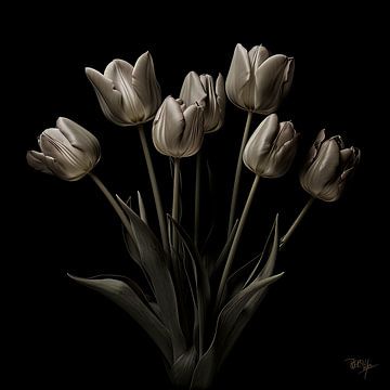 Tulipes minimalistes dans un décor monochrome sur René van den Berg