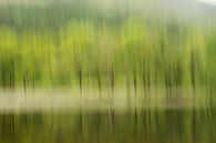 Bäume am Rande von Loch Lubnaig, Schottland von Johan Zwarthoed Miniaturansicht