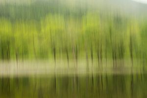 Bomen aan de rand van Loch Lubnaig, Schotland van Johan Zwarthoed