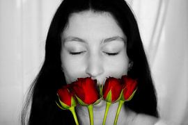 Roses by Sarah De Weger