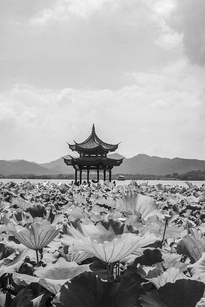 Hanghzhou par Celine Dhont