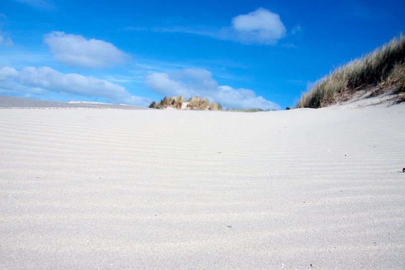 just beach by Nienke Stegeman