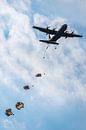 Airborne by Tim Rensing thumbnail