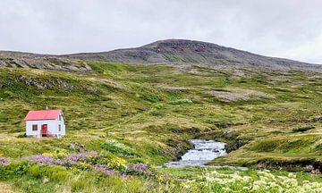 Hornstrandir, IJsland, motief 1 van zam art