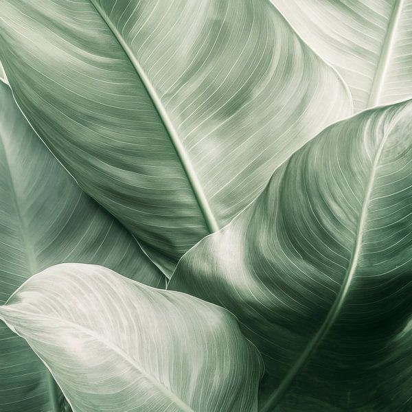 Groene bladeren van Poster Art Shop