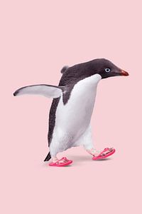 Flip Flop Penguin von Jonas Loose