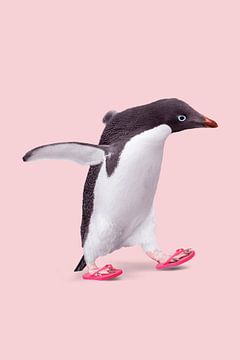 Flip Flop Pinguïn van Jonas Loose