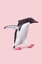 Flip Flop Penguin by Jonas Loose thumbnail