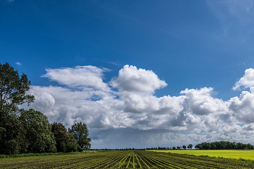 View of Drente with beautiful clouds by Brian Morgan
