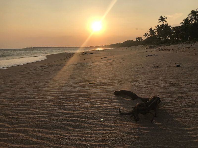 Setting sun sri lanka by stephanie van gent