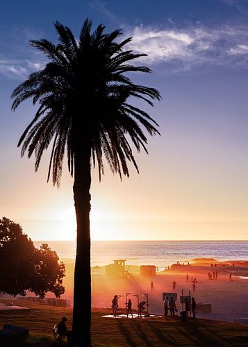 Zomerse kleurige zonsondergang met palmboom aan het strand In Zuid Afrika bij Kaapstad.