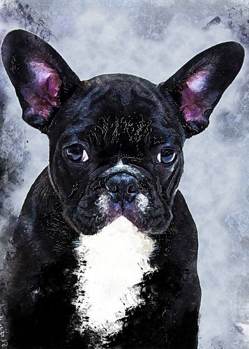 Chien 13 animaux art #dog #dogs
