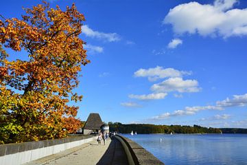 Staumauer im Herbst