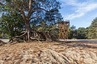 Wachturm Sanddrift Kootwijkerzand