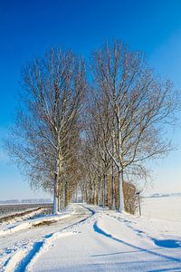 Snowy road by Ivo de Rooij