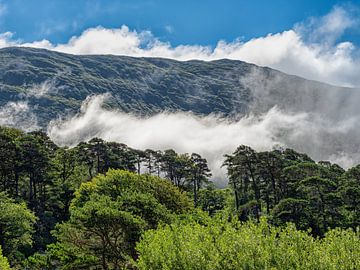 Landschaft bei Aasleagh Falls - Wolkenbedeckter Berg von Luc de Zeeuw