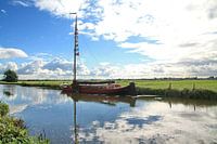 Platbodem in Delfland (Schipluiden)